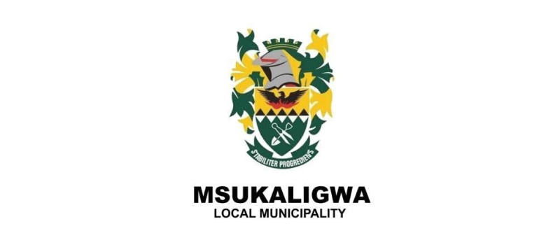Msukaligwa_Logo